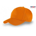 Rector stetson cap