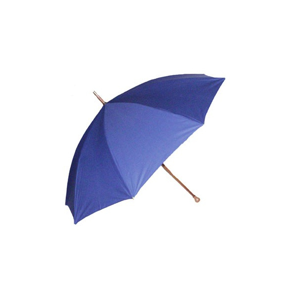 Parapluie de Berger