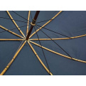 Parapluie de Berger