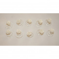 Escargot fleur lot