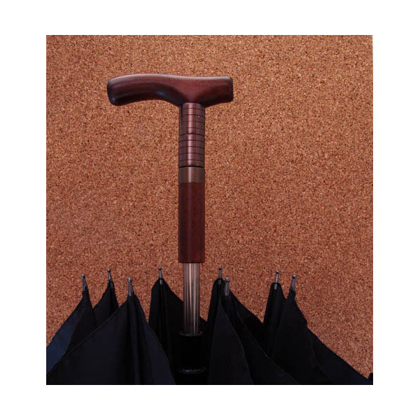 Parapluie canne