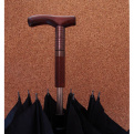 Parapluie canne