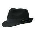 Chapeau Elkader Trilby Stetson