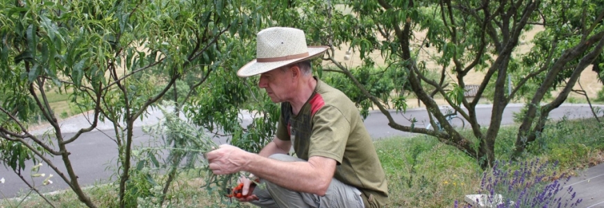 Quel chapeau pour le jardin?