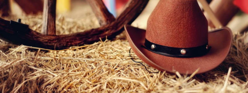 Arborez le chapeau de paille de Luffy pour la sortie de One Piece sur  Netflix !